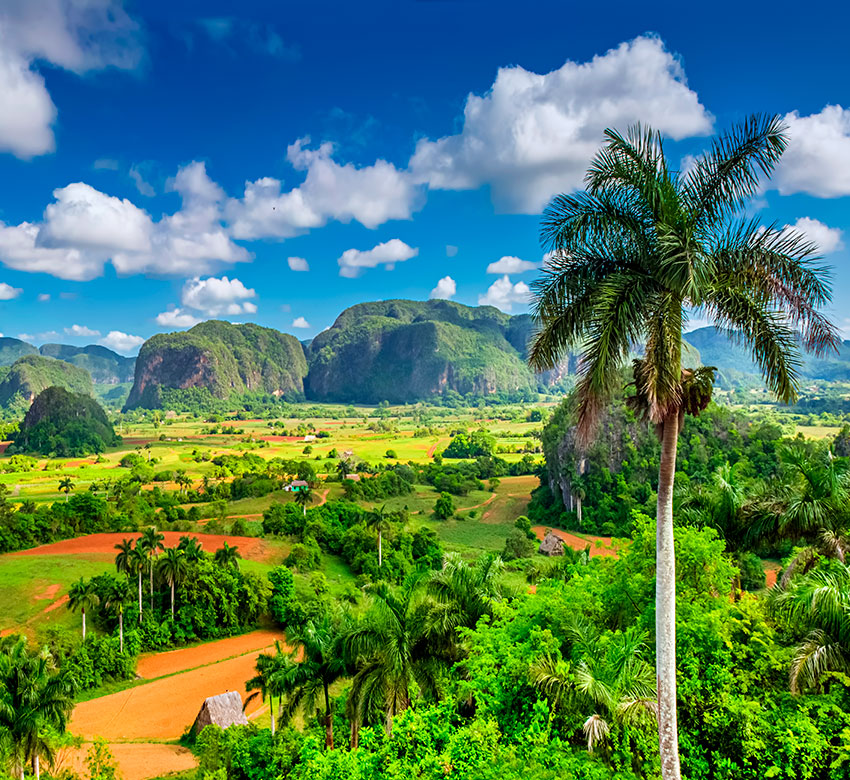 Excursión a Viñales