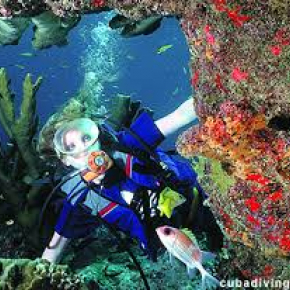 Buceo en Playa Guardalavaca